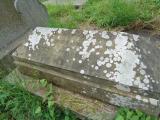 image of grave number 947819